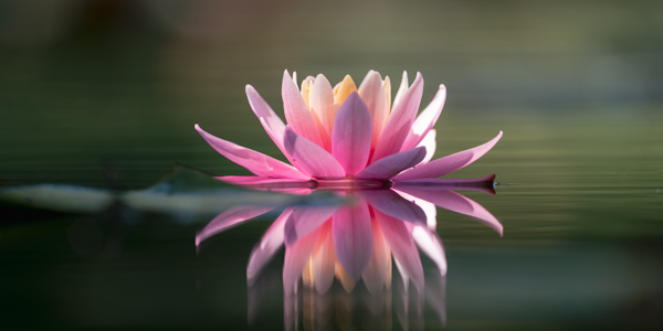 Age Progression the Second Time Around