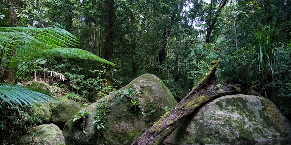 The Land of Green Magic or Neptune’s&nbsp;Gift