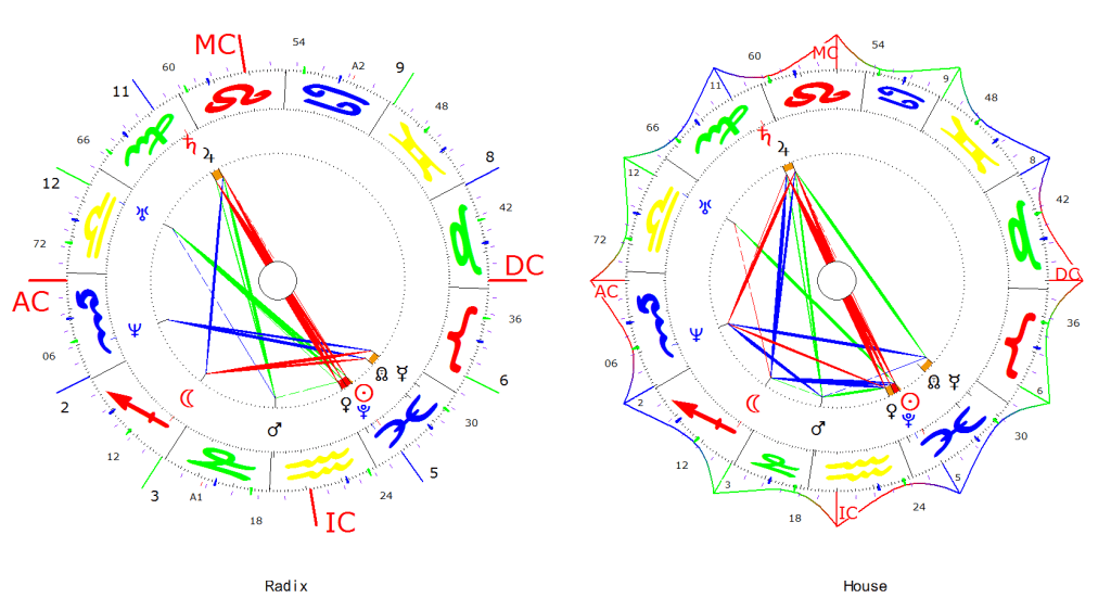 victor hugo radix house