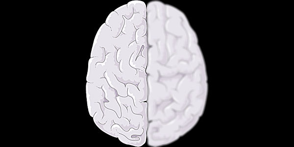 From Analysis to&nbsp;Synthesis